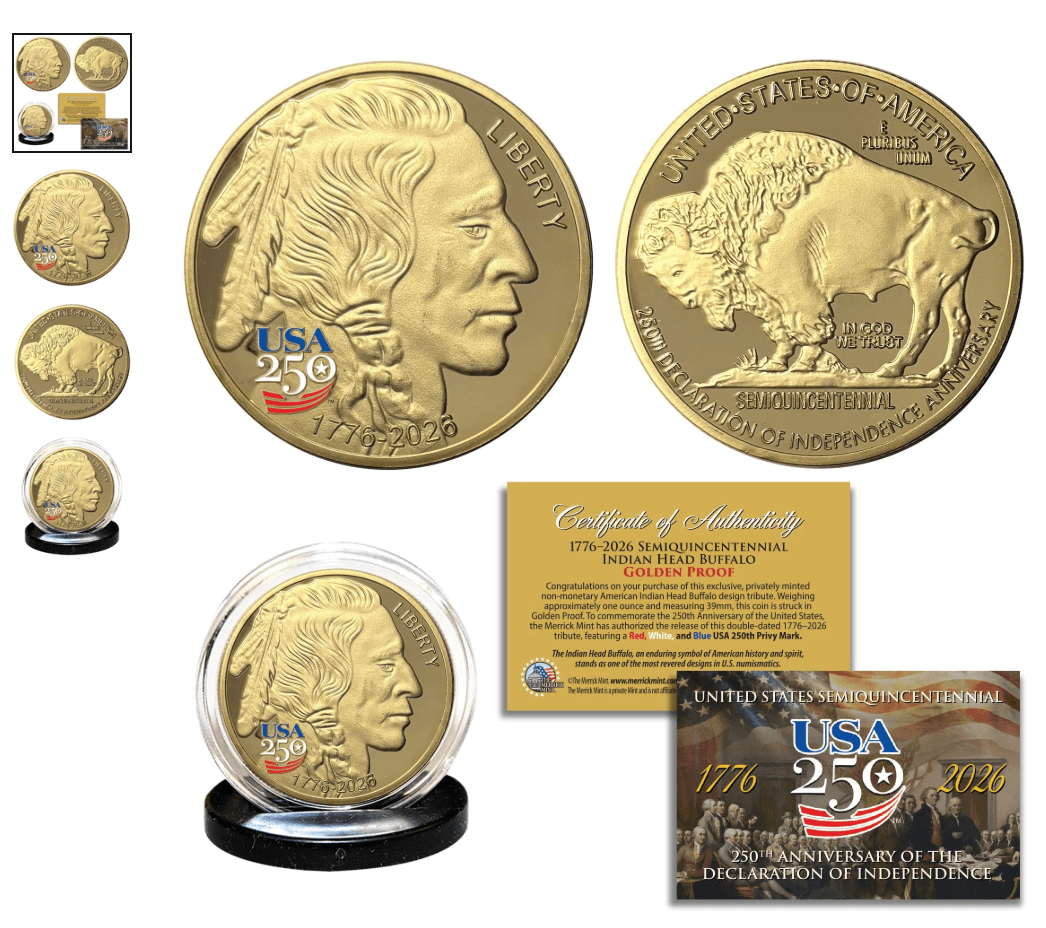 Buffalo Indian Coin