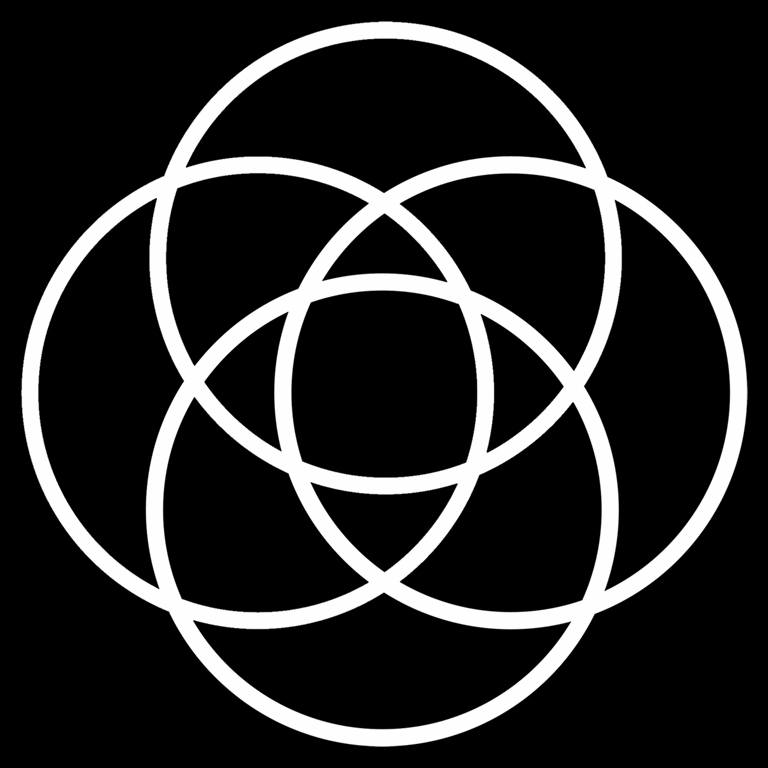 Synergee Fitness Coupons and Promo Code